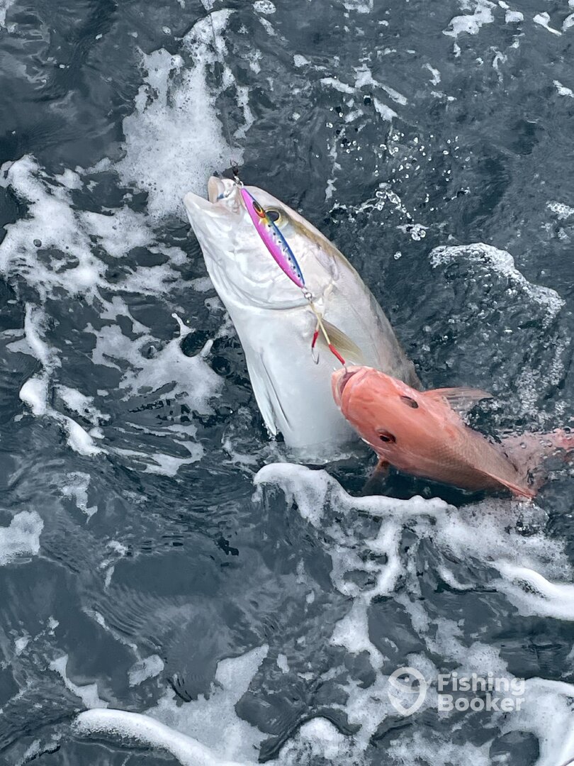 Niceville Report Photo 0