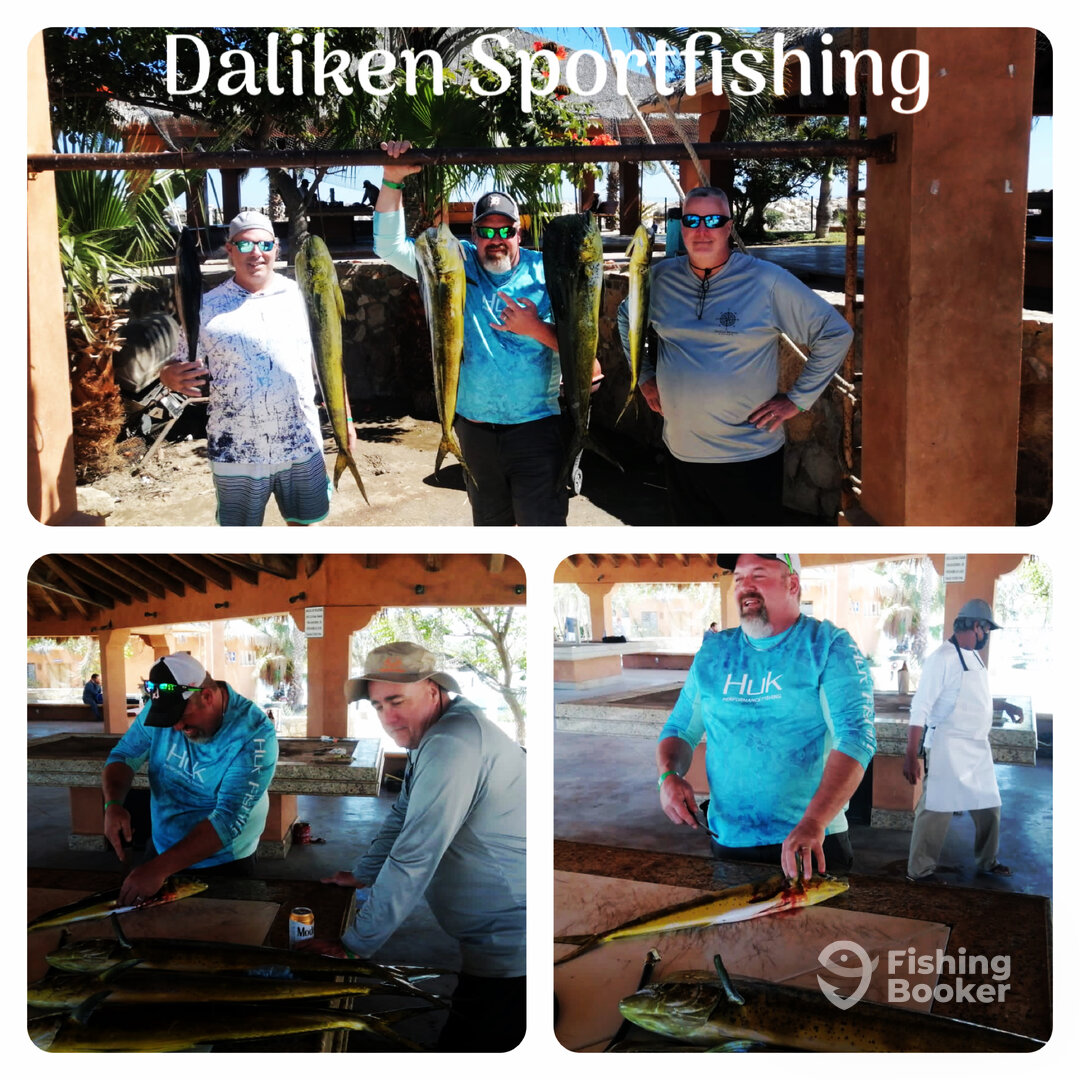 San Jose del Cabo Report Photo 0