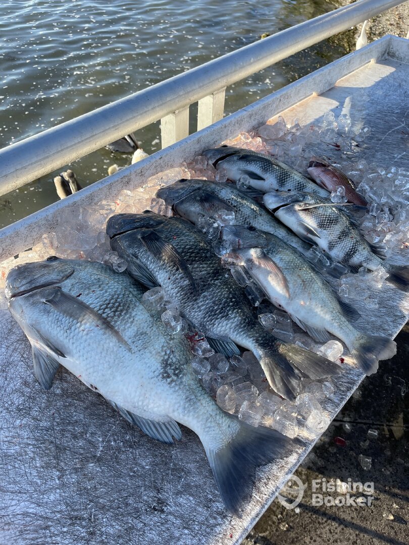 Clearwater Report Photo 0