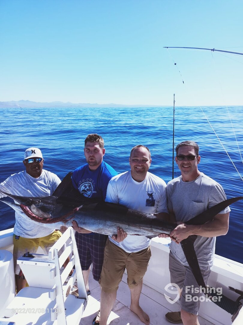 Cabo San Lucas Report Photo 0