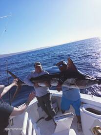 Cabo San Lucas Report Photo 1