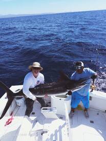 Cabo San Lucas Report Photo 2