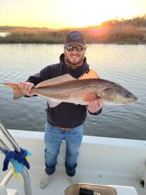 Mount Pleasant Report Photo 2