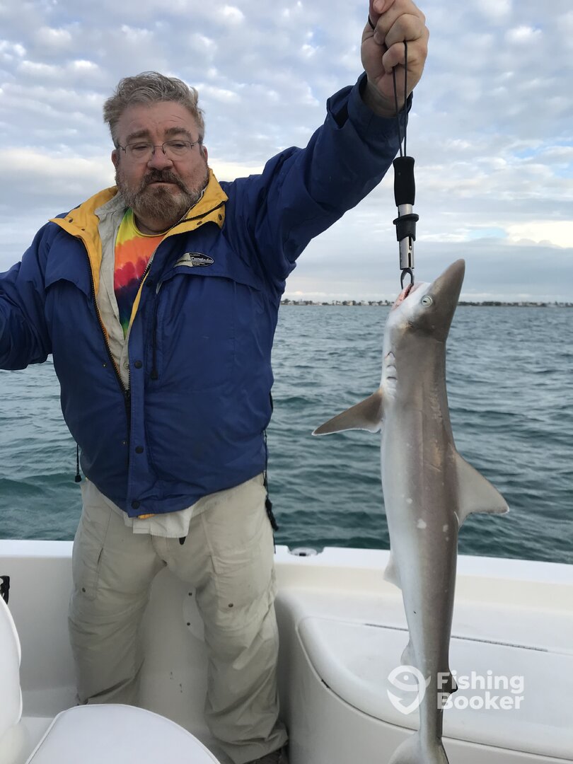 Islamorada Report Photo 0