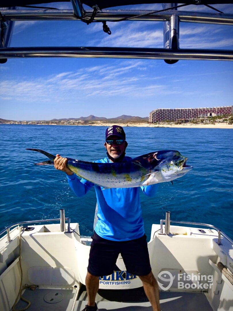 San Jose del Cabo Report Photo 0