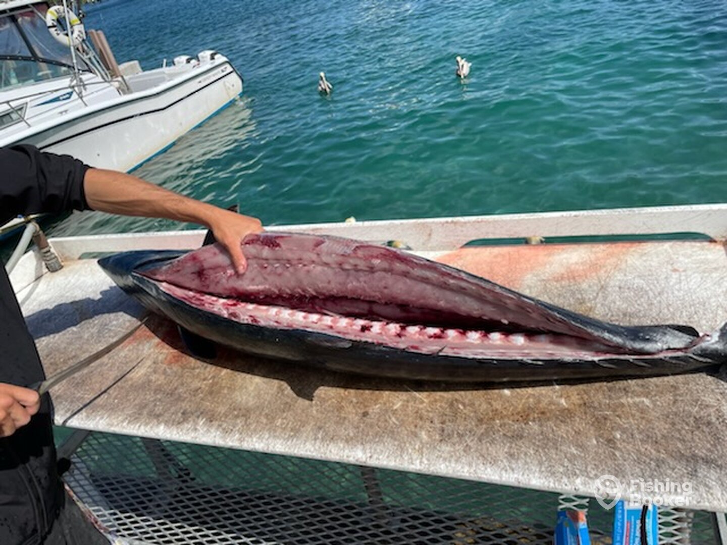 West Palm Beach Report Photo 0