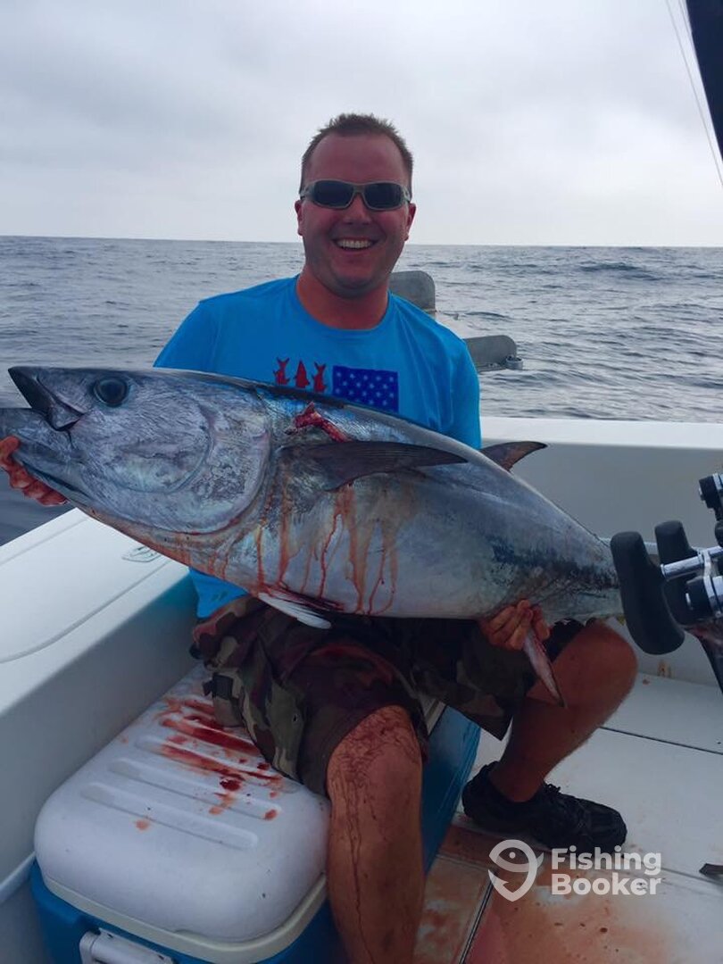 Ocean City Report Photo 0