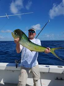 Dania Beach Report Photo 2