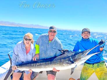 Cabo San Lucas Report Photo 2
