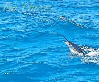 Cabo San Lucas Report Photo 1