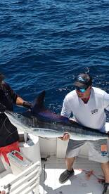 Wahoo! Fishing Report