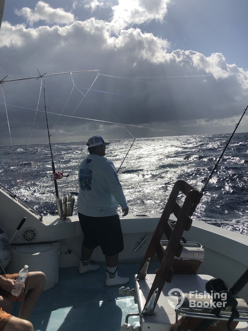 Jupiter Report Photo 0