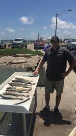 Galveston Report Photo 2