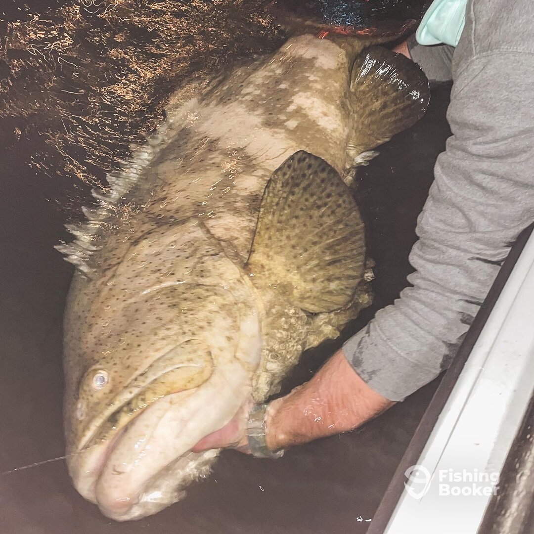 Crystal River Report Photo 0