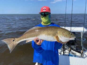 Daytona Beach Report Photo 1