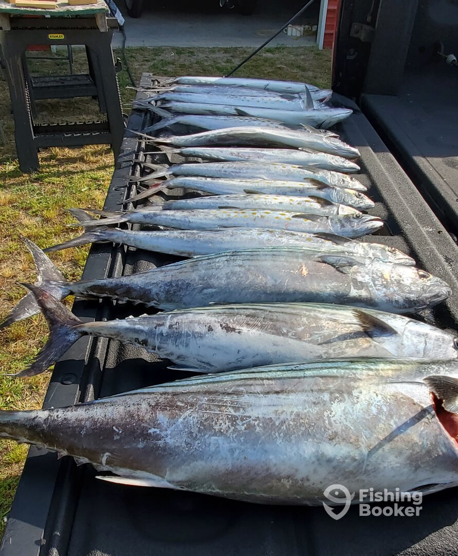 Typical early season mixed bag