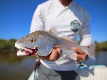 Orlando Report Photo 2