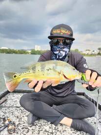 Puchong Report Photo 1