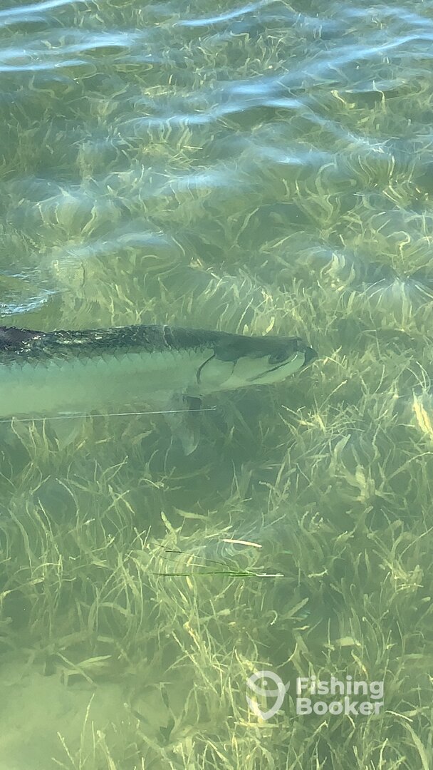 Key West Report Photo 0