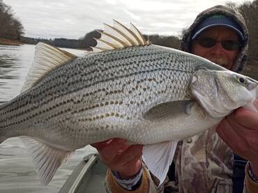 Rutledge Report Photo 1