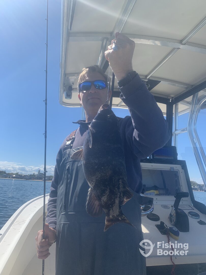 Dennis Report Photo 0