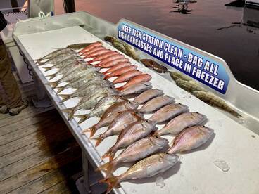 Shalimar Report Photo 1