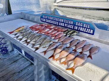 Shalimar Report Photo 2