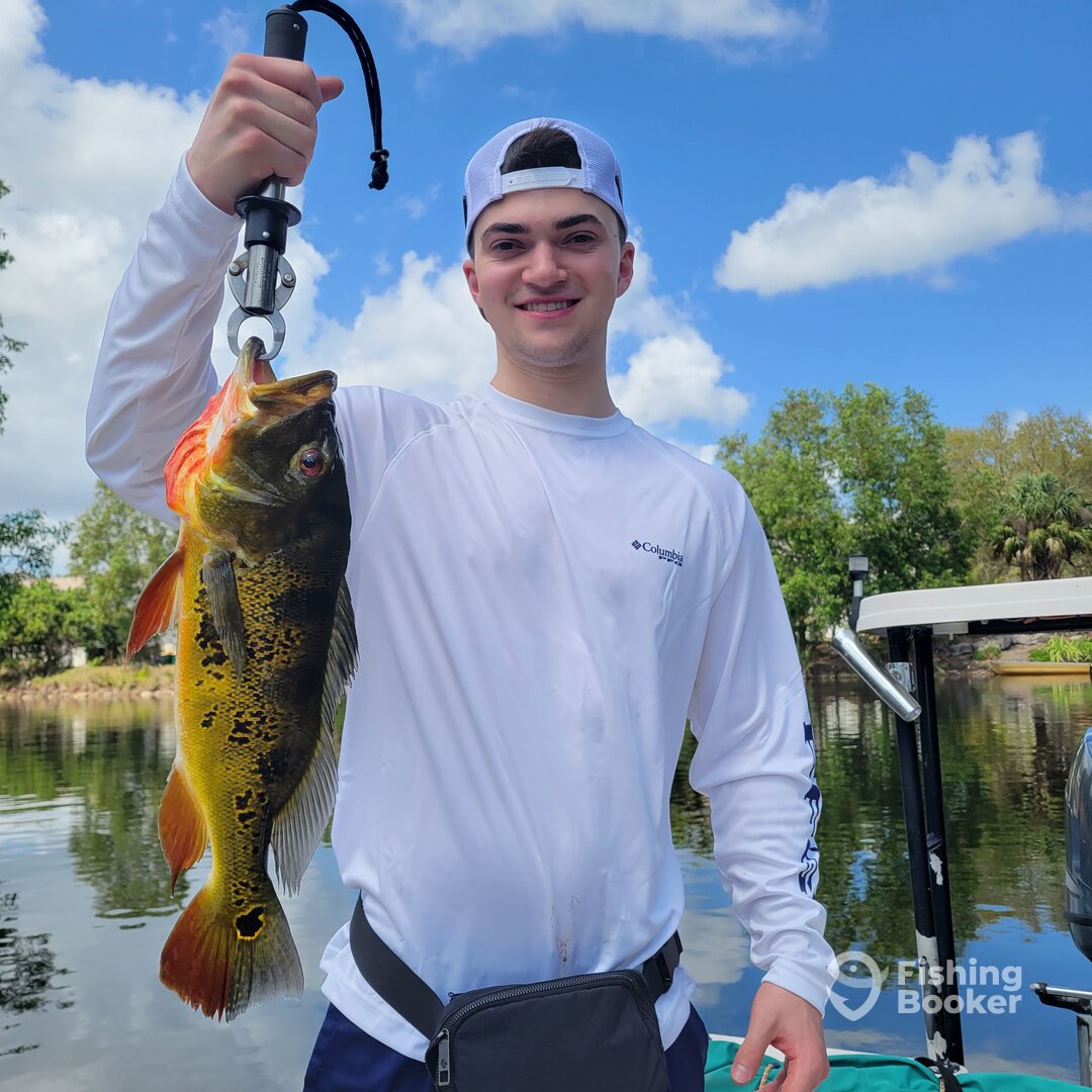 Bonita Springs Report Photo 0