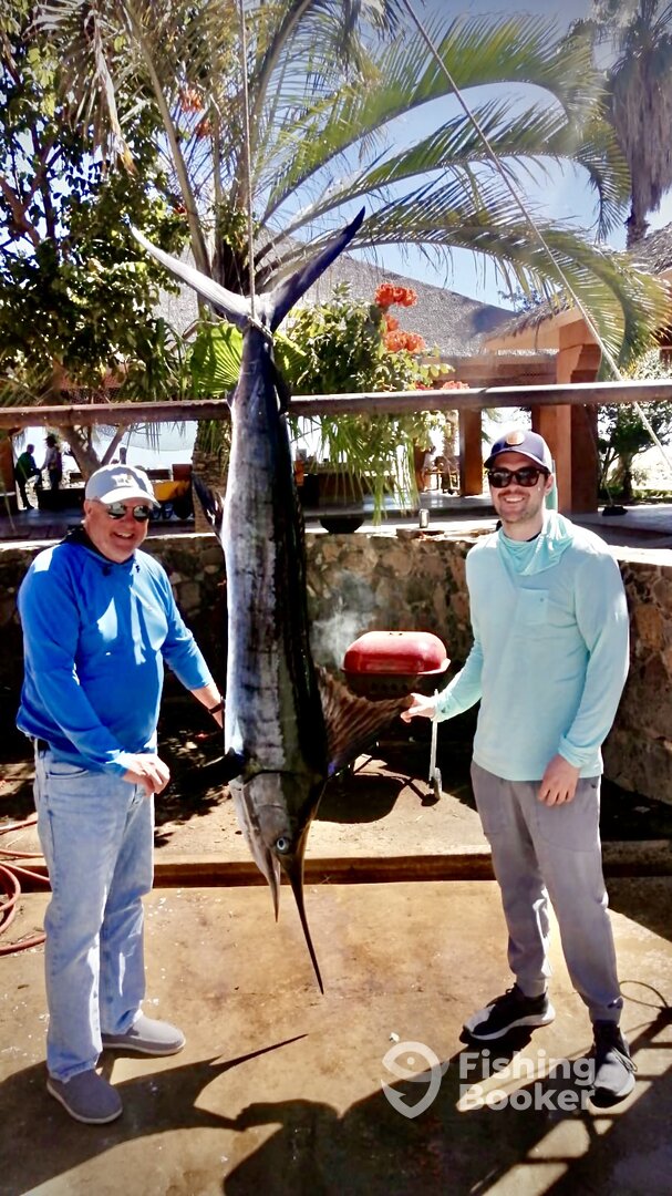 San Jose del Cabo Report Photo 0