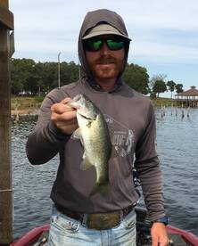 Quitman Report Photo 1