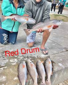 Aransas Pass Report Photo 2