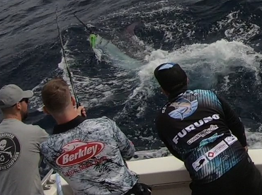 Sydney Report Photo 1