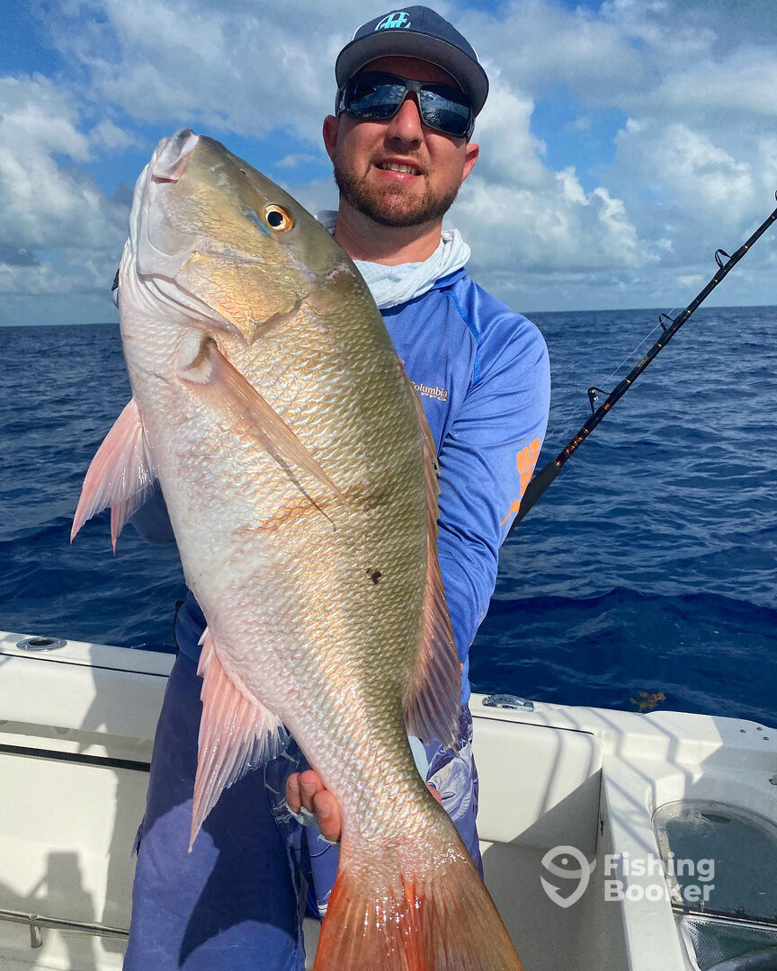 Coral Gables Report Photo 0