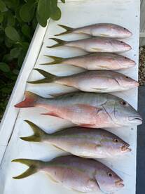 Coral Gables Report Photo 2