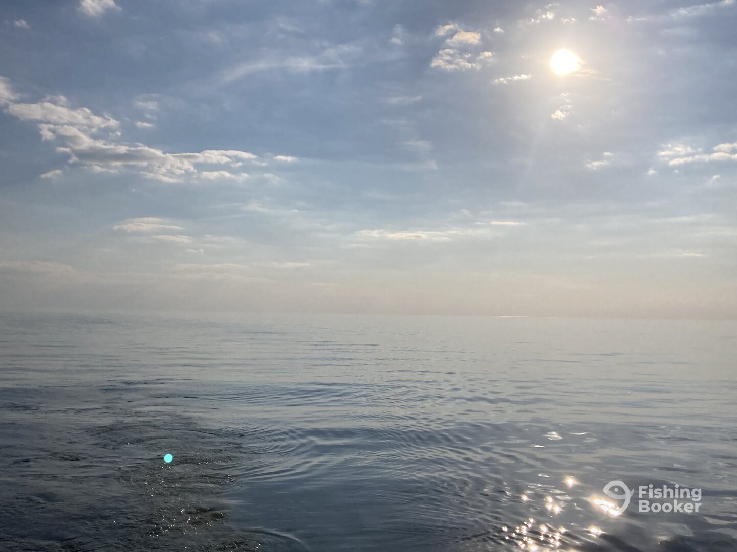 Benton Harbor Report Photo 0