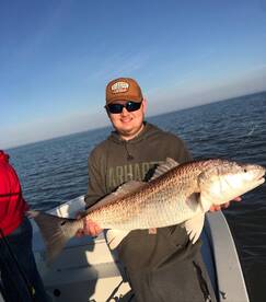 Venice Report Photo 1