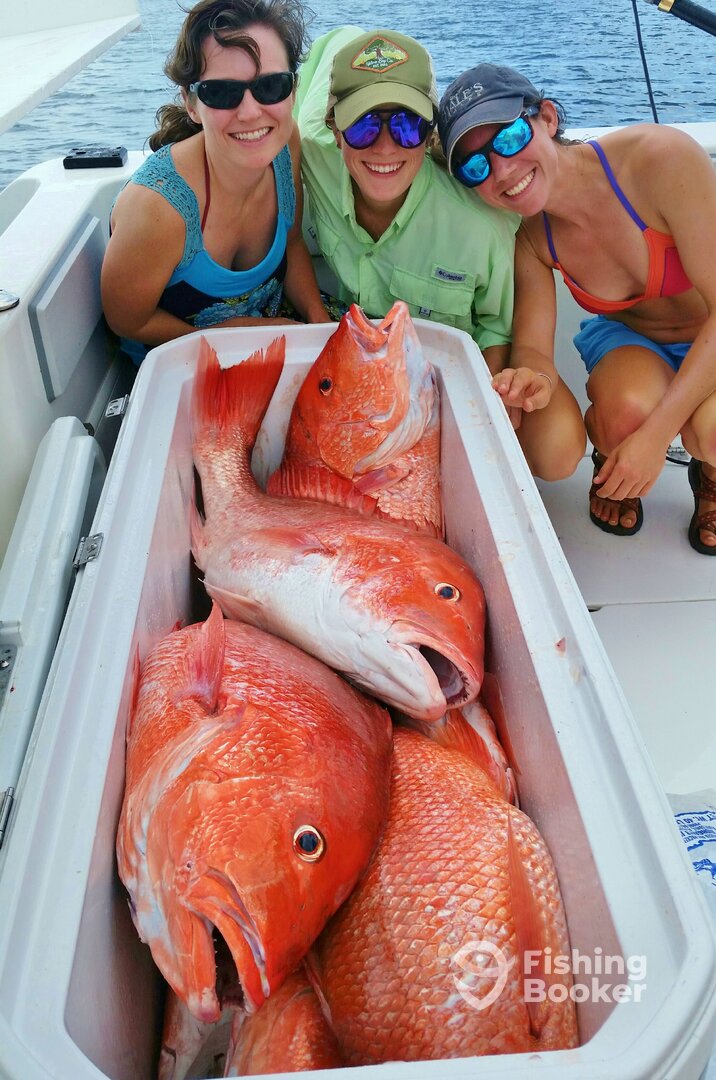 Orange Beach Report Photo 0