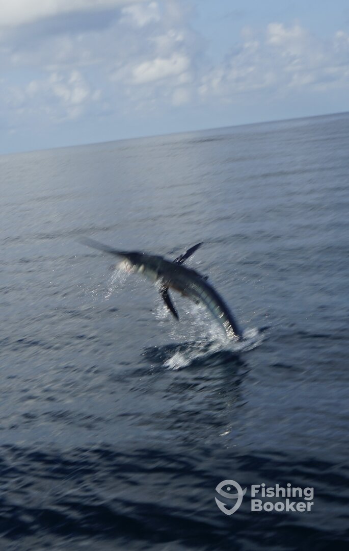 Herradura Report Photo 0