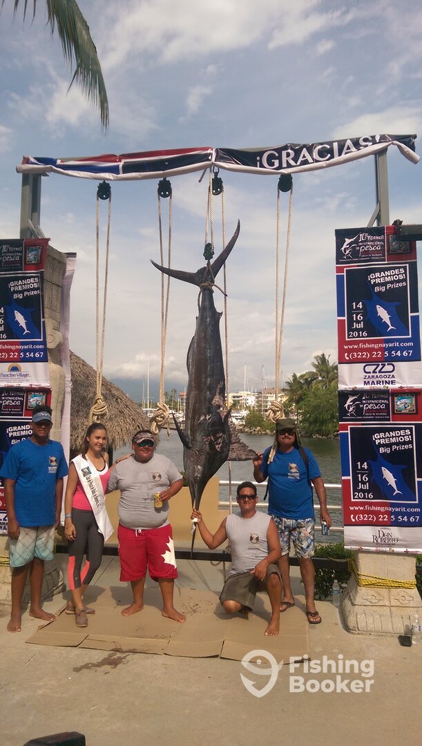 Puerto Vallarta Report Photo 0