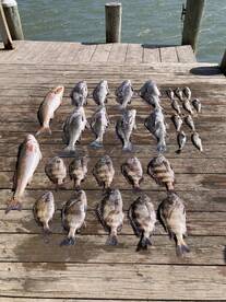 Port O'Connor Report Photo 1