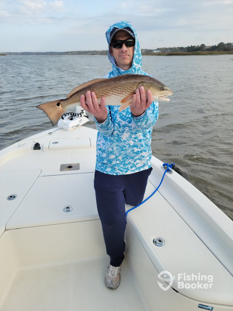 Mount Pleasant Report Photo 0