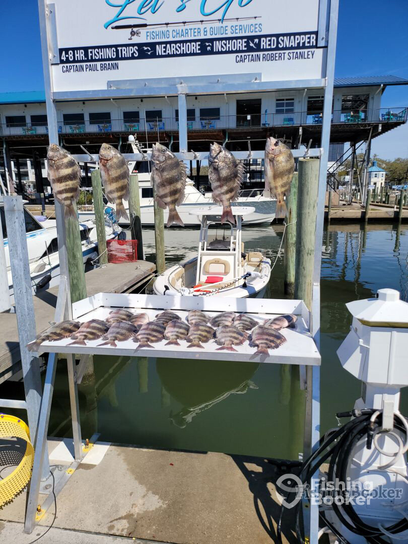 Biloxi Report Photo 0