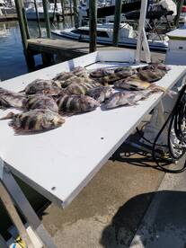 Biloxi Report Photo 2