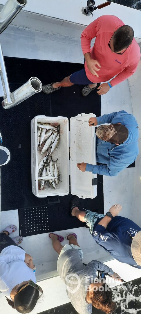 Panama City Report Photo 0