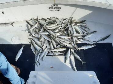 Panama City Report Photo 1