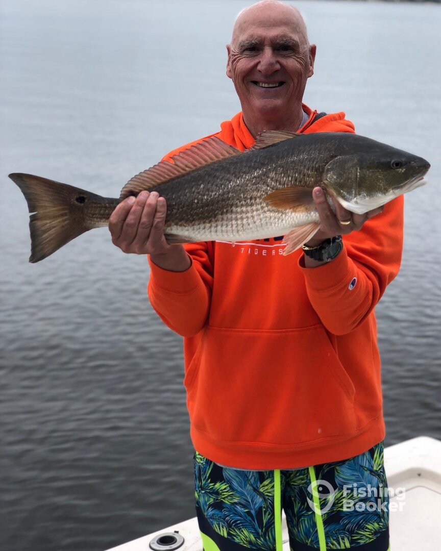 Jacksonville Report Photo 0