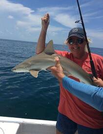 Holmes Beach Report Photo 2