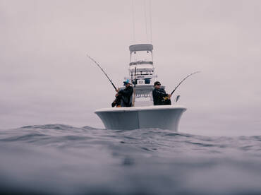 San Diego Report Photo 2