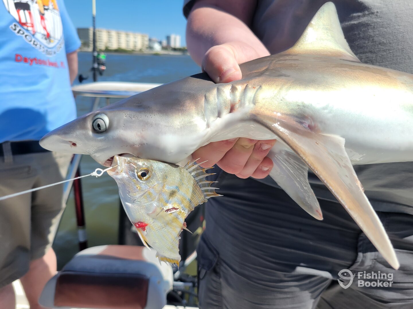 Port Orange Report Photo 0