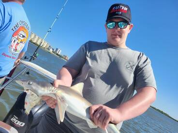 Port Orange Report Photo 1